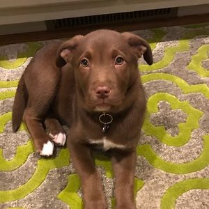 Meet your Posher, Beth